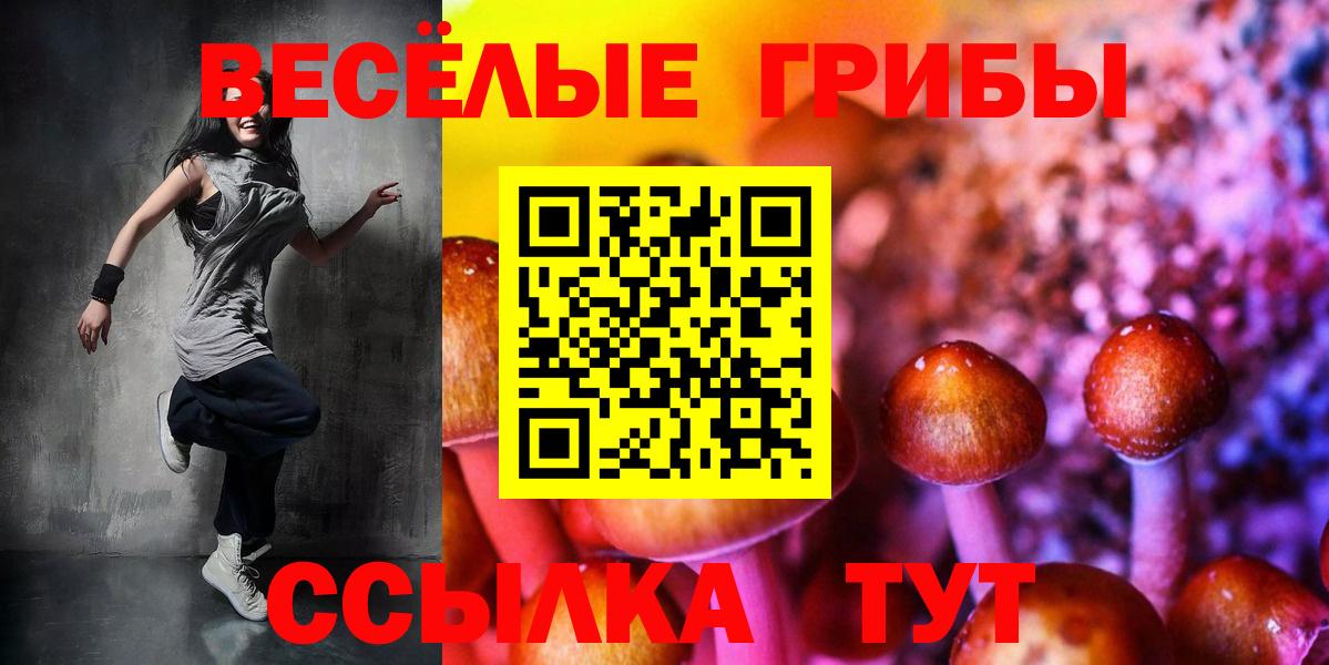 Псилоцибиновые грибы мухоморы  Вход с VPN  Димитровград 
